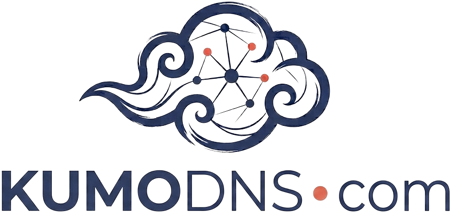 KumoDNS